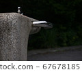 Water fountain in the park 67678185