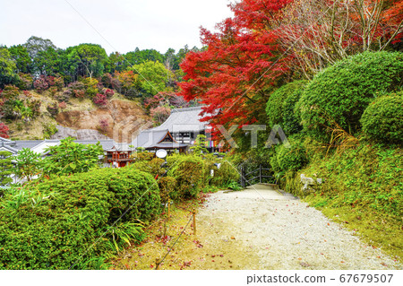 奈良，從岡田三重三田看秋天的風景 67679507