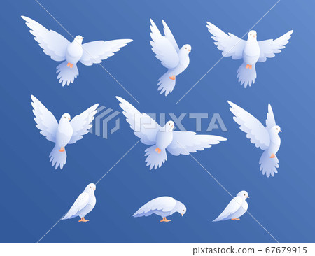 White Pigeons Doves Set White Pigeons Doves Set 67679915