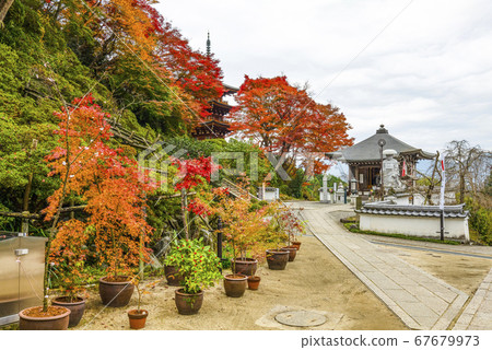 Nara autumn okadera Nara autumn okadera 67679973