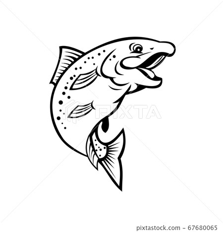 Happy Rainbow Trout or Salmon Fish Jumping Up 67680065
