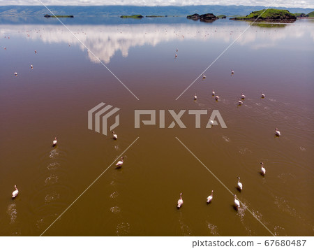Aerial Shot. A flock of lesser flamingos Flying Above Brown Salt Water. Lake Natron. Tanzania Aerial Shot. A flock of lesser flamingos Flying Above Brown Salt Water. Lake Natron. Tanzania 67680487