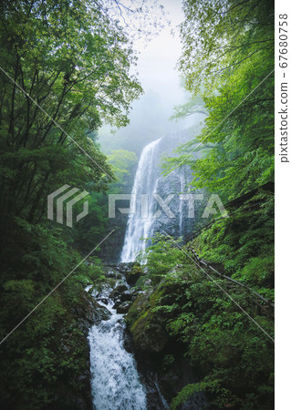 [Ehime Prefecture] Shiraoi Waterfall 67680758