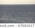 獨自在廣闊的海洋 67681017
