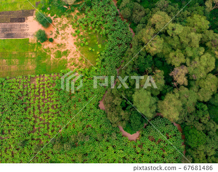 Aerial view on banana plantation bordered wit a Primal Virgin Forest of Manyara National Park Concervation Area in East Africa, Tanzania 67681486