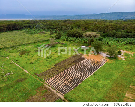 Aerial view on banana plantation bordered wit a Primal Virgin Forest of Manyara National Park Concervation Area in East Africa, Tanzania Aerial view on banana plantation bordered wit a Primal Virgin Forest of Manyara National Park Concervation Area in East Africa, Tanzania 67681492