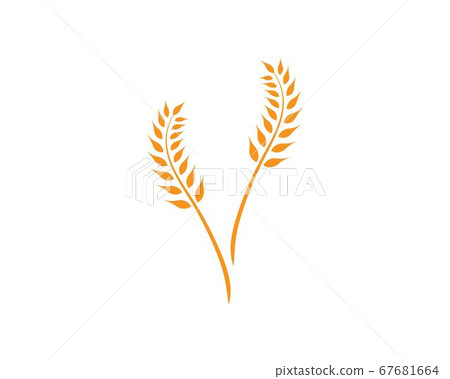 wheat Logo Template wheat Logo Template 67681664
