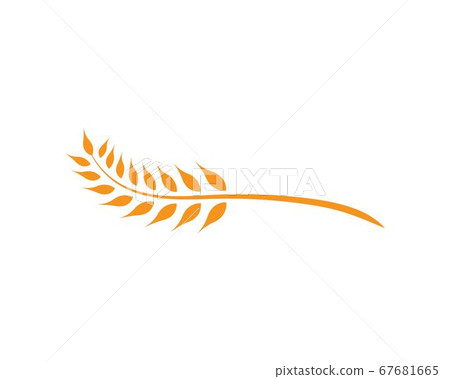 wheat Logo Template wheat Logo Template 67681665