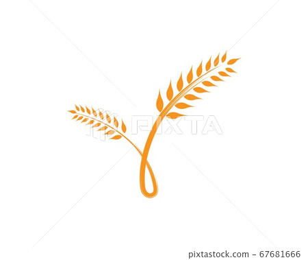 wheat Logo Template wheat Logo Template 67681666