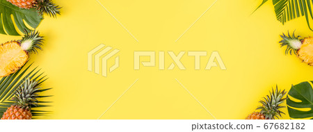 鳳梨 熱帶 葉子 蓬萊蕉 背景 龜背葉 pineapple background パイナップル 67682182