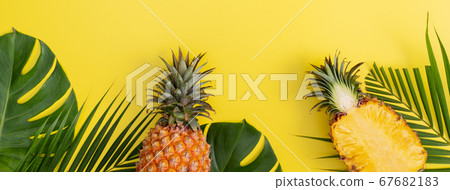 鳳梨 熱帶 葉子 蓬萊蕉 背景 龜背葉 pineapple background パイナップル 67682183