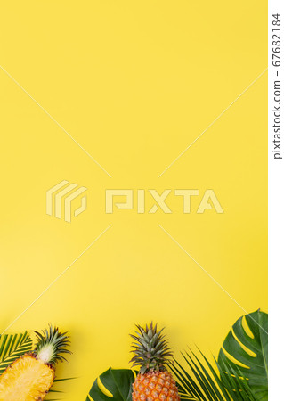 Bromeliad tropical leaves penglai banana background turtle leaf pineapple background パ イ ナ ッ プ ル 67682184