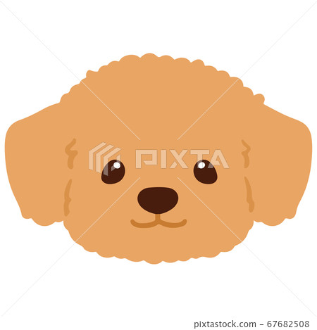 Illustration of a cute Chihuahua, front face without main line Illustration of a cute Chihuahua, front face without main line 67682508