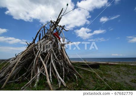 Driftwood and coast 67682770