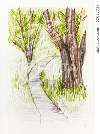 pedestrian path between trees in park in summer - Stock Illustration ...