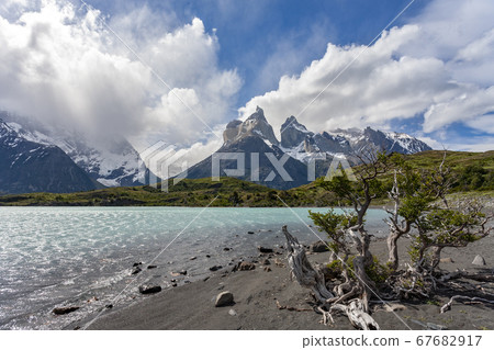 Torres del Paine - Patagonia - Chile 67682917