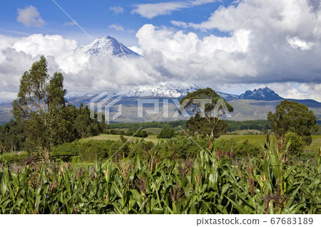 Cotopaxi Volcano in the Avenue of the Volcanos - Ecuador 67683189