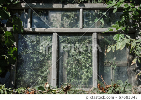 The abandoned window 67683345