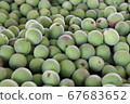 Plum fruit 67683652
