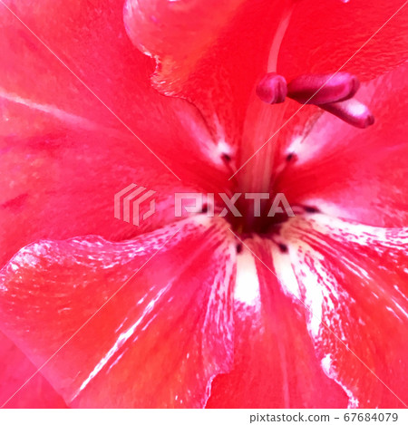 Blooming flower with leaves, living natural nature Blooming flower with leaves, living natural nature 67684079