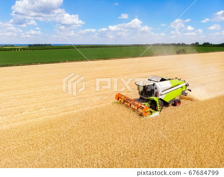 Aerial drone top view Big powerful industrial combine harvester machine reaping golden ripe wheat cereal field on bright summer or autumn day. Agricultural yellow field machinery landscape background 67684799