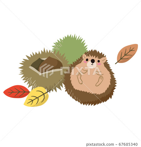 Autumn hedgehog and chestnut Autumn hedgehog and chestnut 67685340