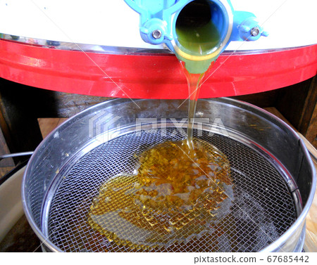 Background texture, dropping drops of sweet honey Background texture, dropping drops of sweet honey 67685442