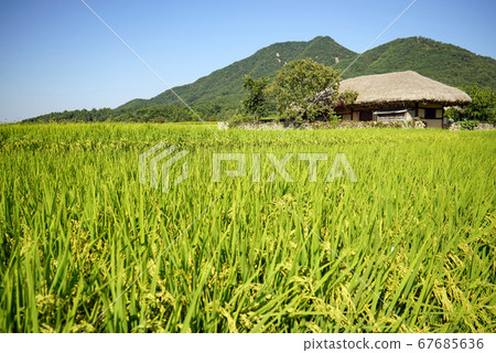 Asan City, Chungcheongnam-do, Oeam Folk Village, Rural Landscape Asan City, Chungcheongnam-do, Oeam Folk Village, Rural Landscape 67685636
