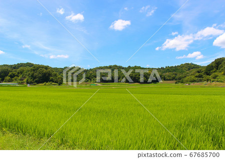 Rural scenery of Shimohara district 67685700