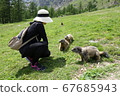 Swiss Saas Fee Wild Marmot 2019 67685943