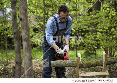 Woodcutter in working uniform sawing wood with electric saw, sawhorse in forest Woodcutter in working uniform sawing wood with electric saw, sawhorse in forest 67686000