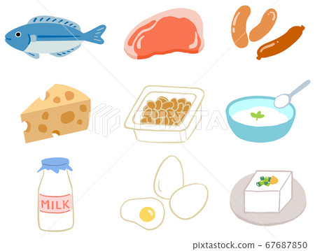 蛋白質插圖集營養 蛋白質插圖集營養 67687850