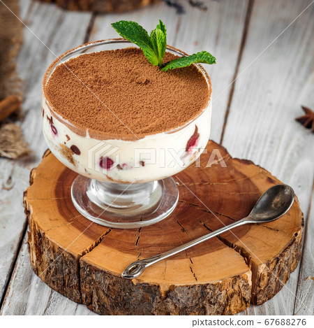 Closeup on gourmet sweet tiramisu dessert 67688276