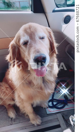 I will not ride on Nico Nico Drive Seat from now on 67688721