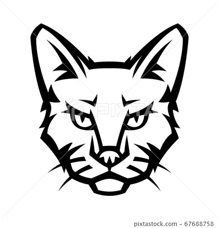 Mascot stylized cat head. Mascot stylized cat head. 67688758