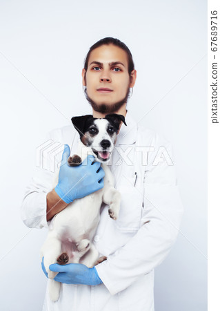 young veterinarian doctor in blue gloves examine little cute dog jack russell isolated on white background, animal healthcare concept 67689716