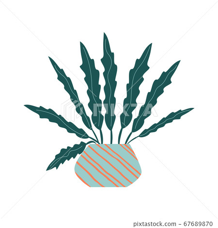 Funny cartoon flat vector house plant in pot Funny cartoon flat vector house plant in pot 67689870