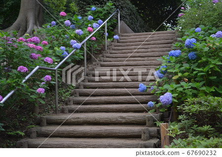 Tama River Tai Park 67690232