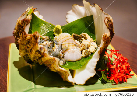 Scampi sashimi 67690239