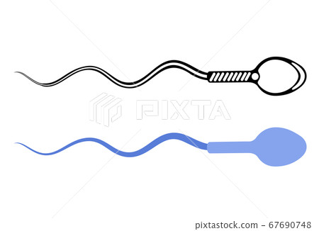 Reproductive system concept 67690748