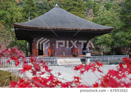 Fukushima / National Treasure White Water Amidado Autumn Leaves Fukushima / National Treasure White Water Amidado Autumn Leaves 67691682