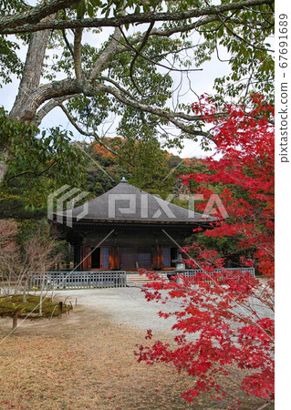 Fukushima / National Treasure White Water Amidado Autumn Leaves Fukushima / National Treasure White Water Amidado Autumn Leaves 67691689