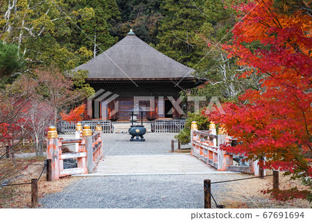 Fukushima / National Treasure White Water Amidado Autumn Leaves Fukushima / National Treasure White Water Amidado Autumn Leaves 67691694
