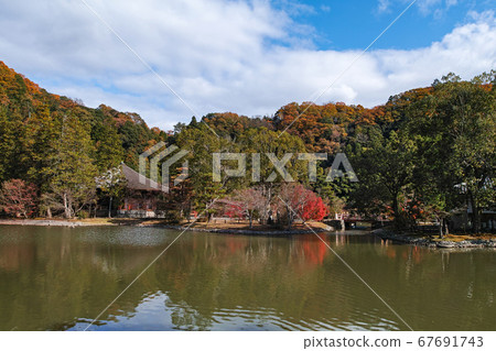 Fukushima / National Treasure White Water Amidado Autumn Leaves of Pure Land Garden 67691743