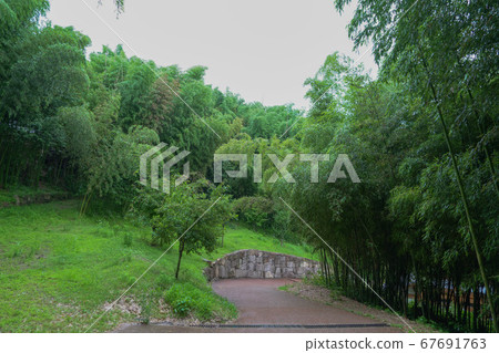 韓國全羅南道丹陽郡丹陽邑菊國院 韓國全羅南道丹陽郡丹陽邑菊國院 67691763