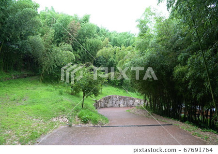 韓國全羅南道丹陽郡丹陽邑菊國院 韓國全羅南道丹陽郡丹陽邑菊國院 67691764