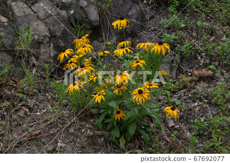 Dootasan, Chopyeong Reservoir, Volcano-ri, Chopyeong-myeon, Jincheon-gun, Chungbuk, Korea 67692077