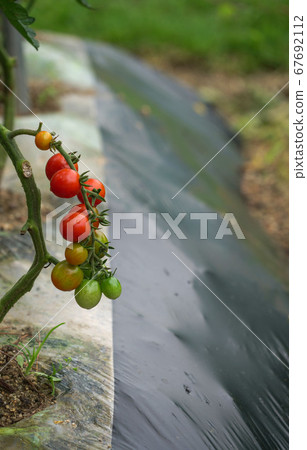 Dootasan, Chopyeong Reservoir, Volcano-ri, Chopyeong-myeon, Jincheon-gun, Chungbuk, Korea 67692112