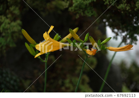韓國忠北鎮川郡昌平面火山里昌平水庫斗山山 67692113