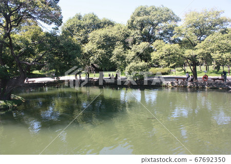 樹和湖 67692350